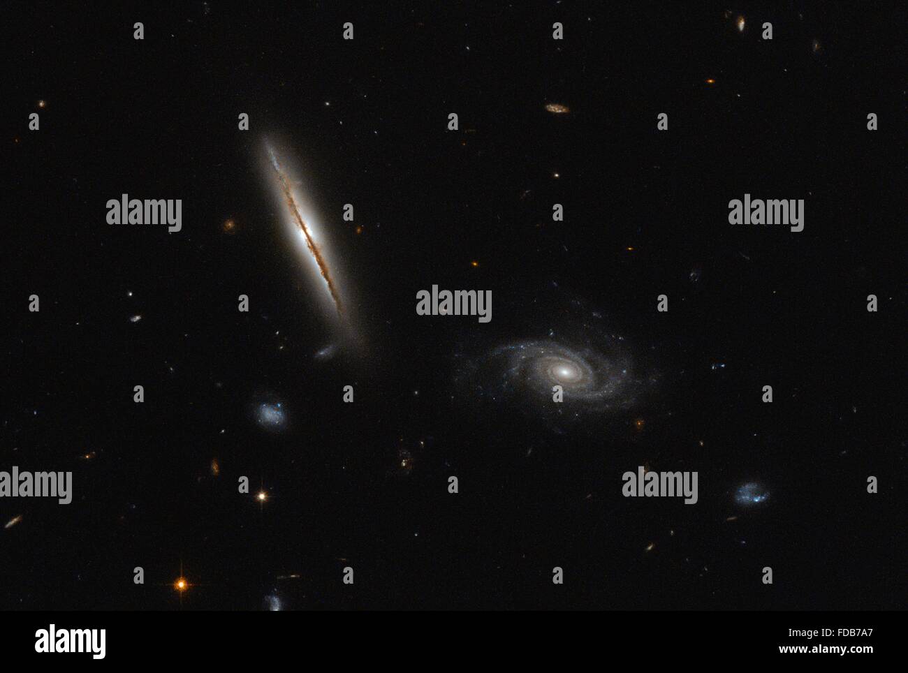 Un bordo-sulla galassia a spirale catturate dal Telescopio Spaziale Hubble immagine trovata per avere imprevisti intensi getti radio produca dal suo centro 25 gennaio 2016. Situato a circa un miliardo di anni luce di distanza nella costellazione di Eridanus e noto come LO95 0313-192. Foto Stock