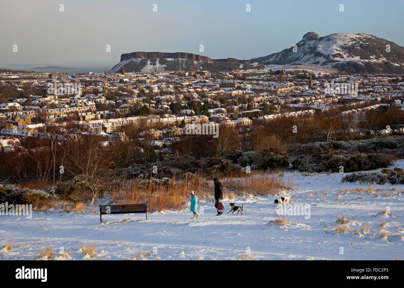 Edimburgo, Scozia, Regno Unito, 30 gennaio 2016. In primo luogo completare la copertura di neve in città questo inverno. Vista da Blackford Hill guardando verso l'Arthurs Seat. Foto Stock