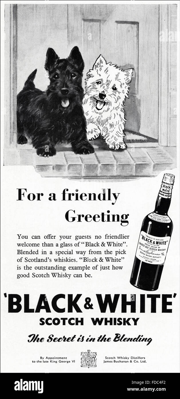 Vintage originale annuncio da anni cinquanta. La pubblicità dal 1954 pubblicità in bianco e nero di Scotch whisky. Foto Stock