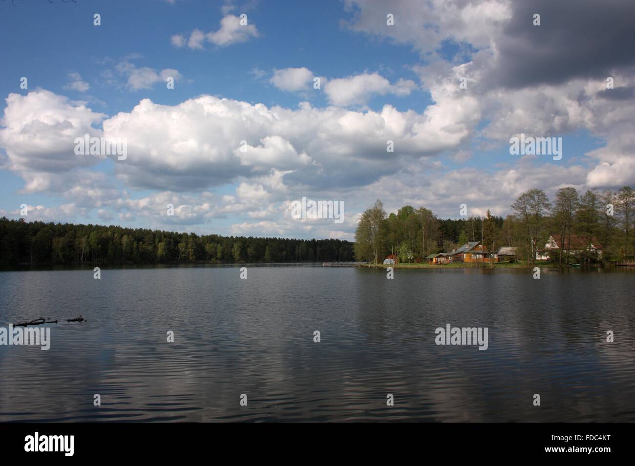 Lago Ilgis in Lituania Foto Stock