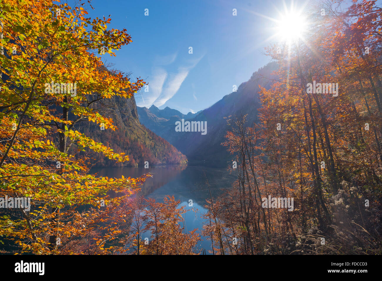Guardando attraverso colori d'autunno foreste contro il sole al lago di Königssee nel Parco Nazionale di Berchtesgaden, Baviera, Germania Foto Stock