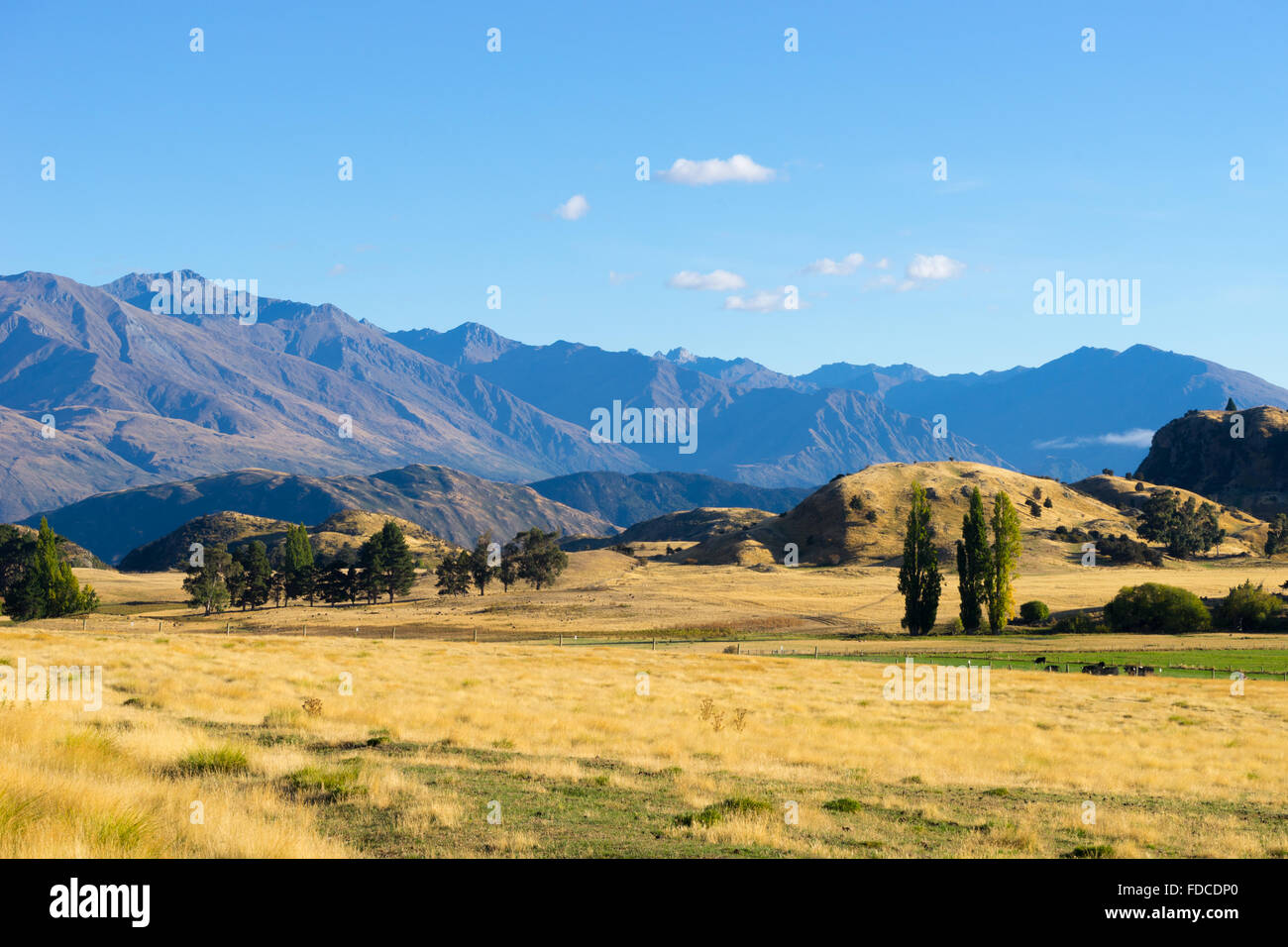 Paesaggio naturale della Nuova Zelanda Alpi e il campo Foto Stock