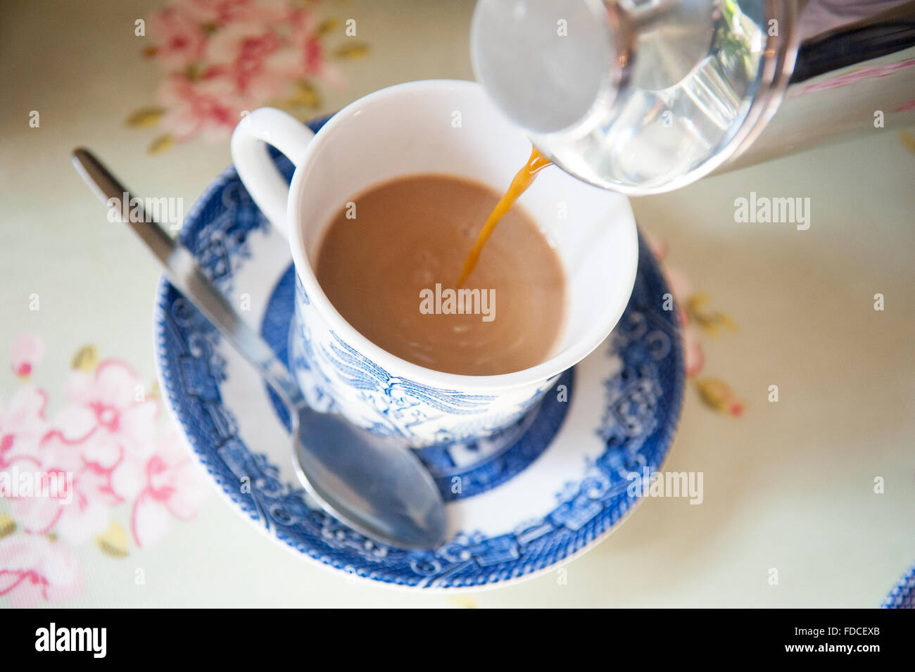 Versando il tè in bone china tazza da caffè con piattino al castello di tamburo in Aberdeenshire, Scozia. Foto Stock