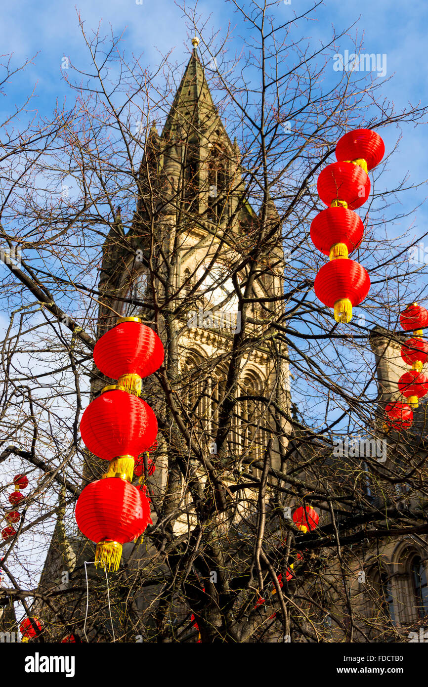Le lanterne cinesi in piazza Albert, Manchester, Inghilterra, Regno Unito. Per il Capodanno cinese. Il Municipio dietro. Foto Stock