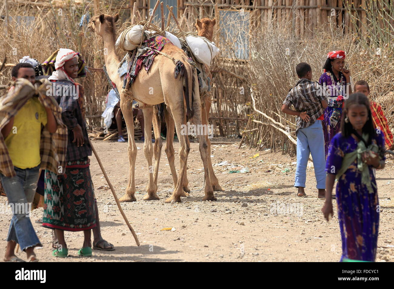 SENBETE, ETIOPIA-marzo 24: Camel pastori del popolo Afar frequentare il mercato della domenica dove la oromo-amhara-lontano i popoli incontrano Foto Stock