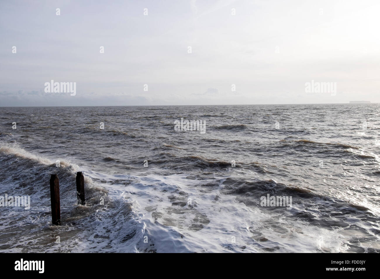 Mare del Nord Bawdsey Ferry Suffolk REGNO UNITO Foto Stock