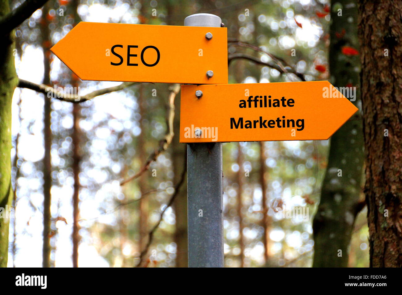 Seo e marketing di affiliazione scritto su un giallo segno di direzione Foto Stock