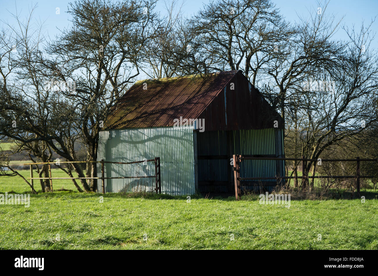 Un metallo ondulato capannone o un fienile in un campo circondato da alberi nella campagna del Sussex in inverno, UK. Foto Stock