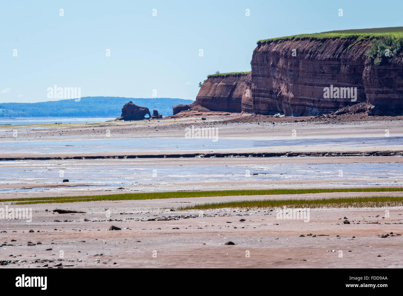 La bassa marea presso la Baia di Fundy in Delhaven, Nova Scotia, Canada Foto Stock