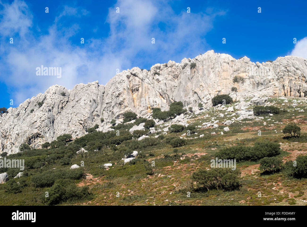 Il parco naturale Sierra de las Nieves, Andalusia, Spagna Foto Stock