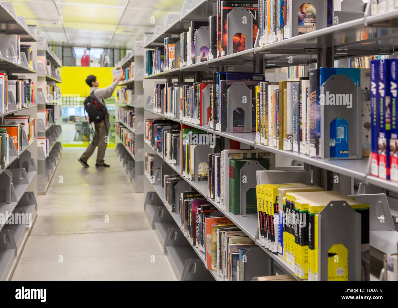 Uomo che guarda i libri in pile del moderno Seattle Central Library, design da architetti Rem Koolhaas e Joshua Prince-Ramus Foto Stock