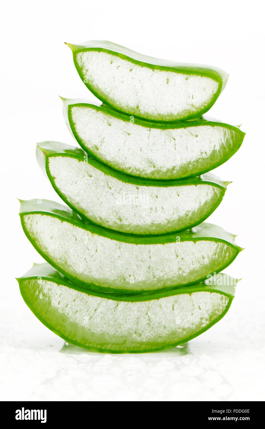 Affettare aloe (Aloe barbadensis Mill.,Star cactus, Aloe, aloina, Jafferabad o Barbados) molto utile la medicina di erbe per la pelle Foto Stock