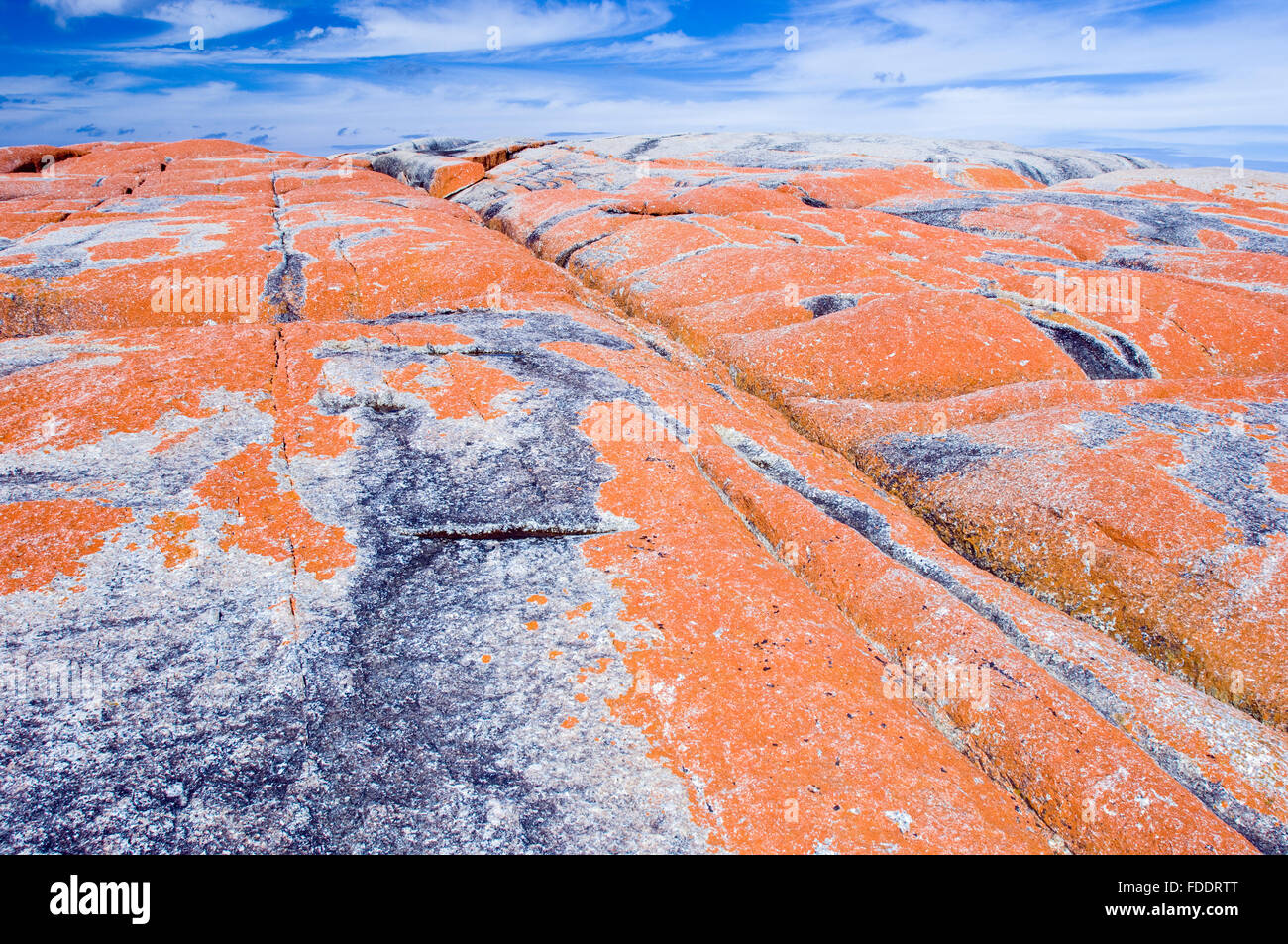 Baia di incendi, Costa Est della Tasmania mostrando rocce con Licheni arancioni Foto Stock