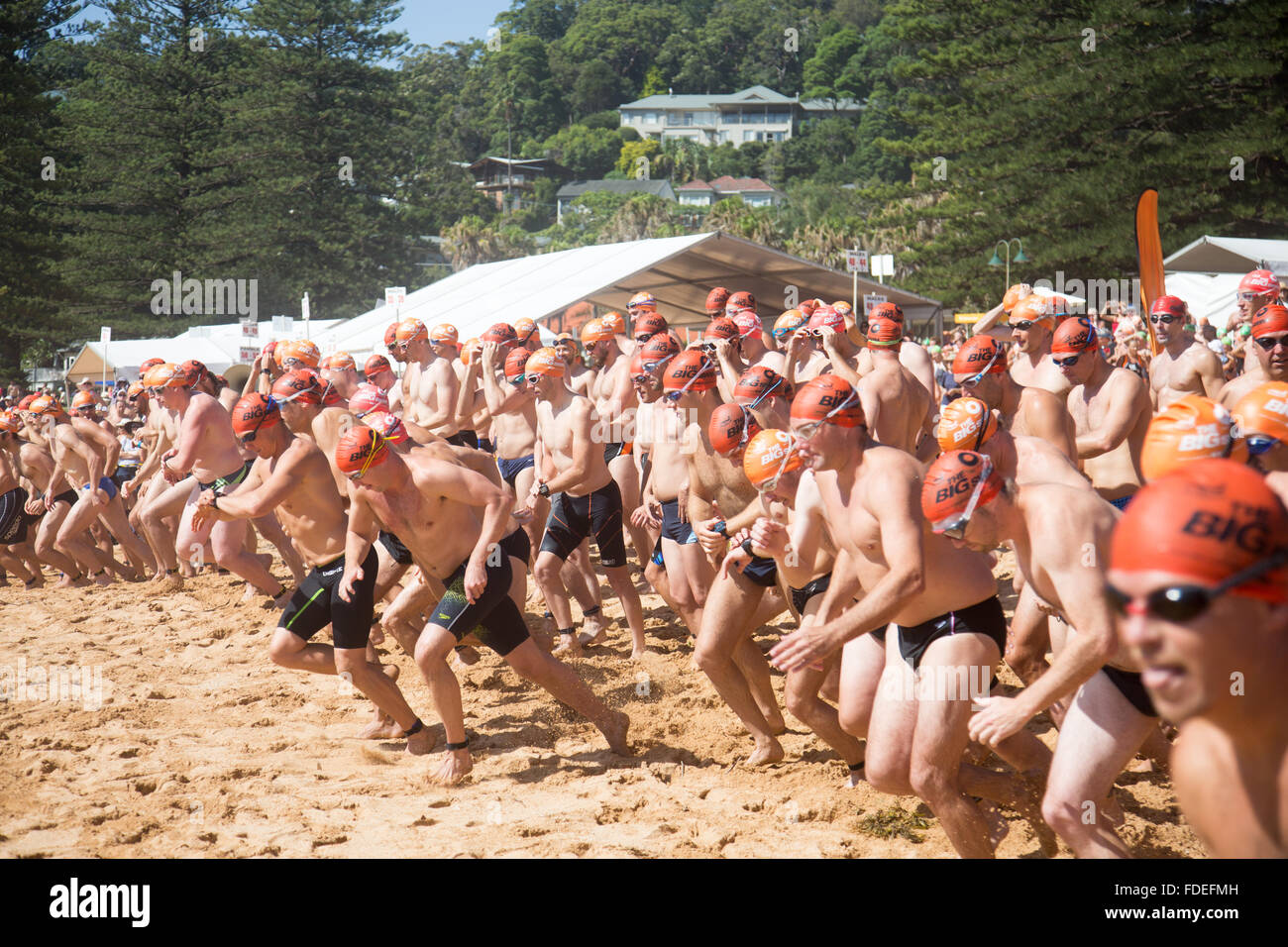 Macquarie Big Swim, 42nd grande nuotata annuale da Palm Beach a Whale Beach Sydney, una nuotata oceanica di 2,8km, Australia, nella foto l'inizio della gara di nuoto oceanico Mens Foto Stock