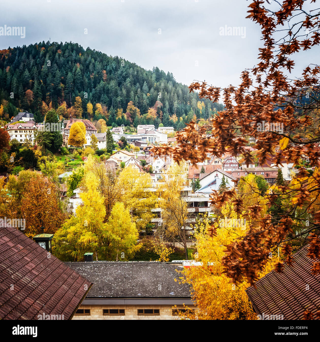 Vista sulla città piccola vasca da bagno Liebenzell in autunno. Bellissima Foresta Nera Schwarzwald paesaggio in Germania. Destinazione di viaggio Foto Stock