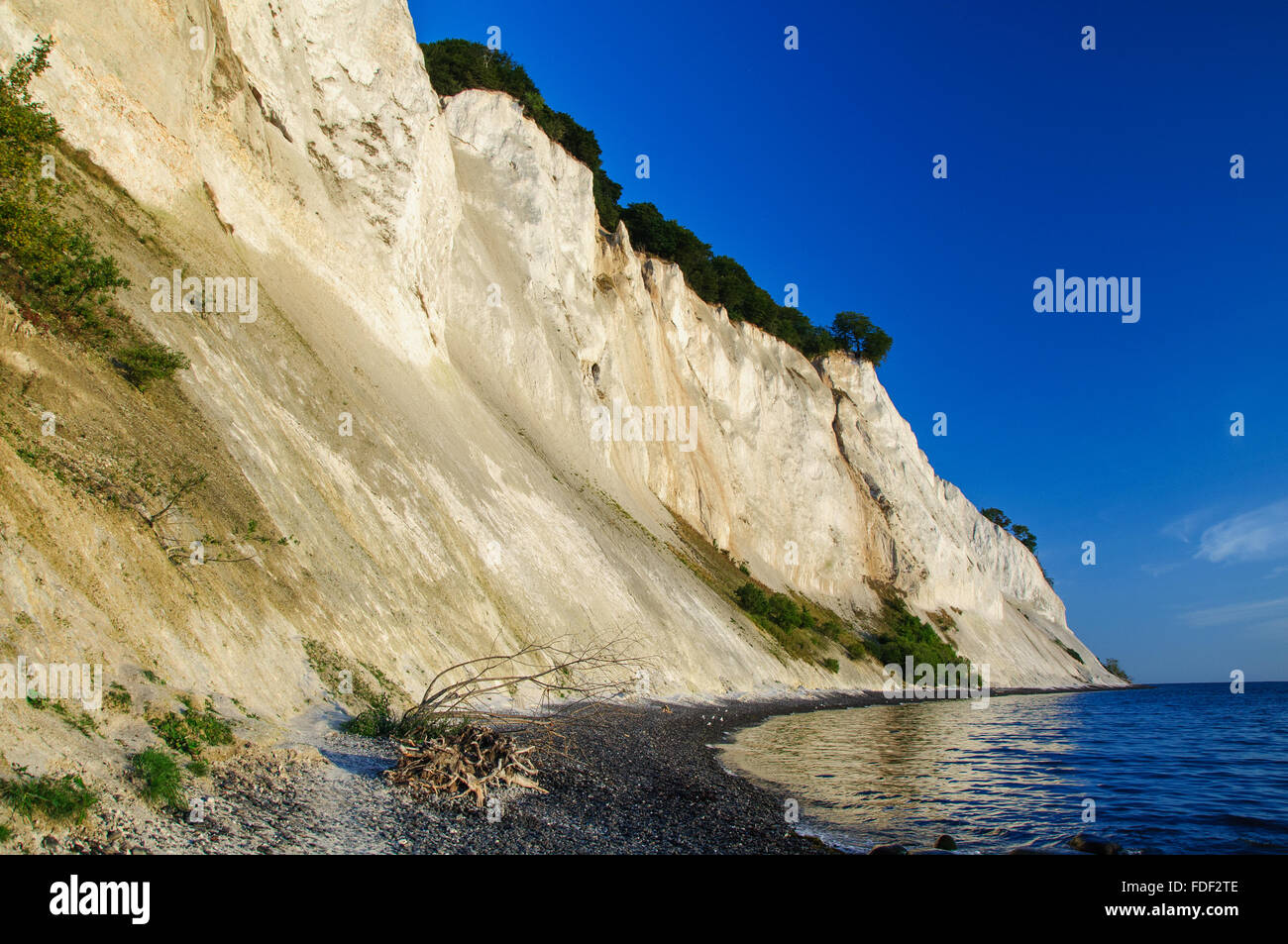 Le scogliere di Moen di Sunrise Foto Stock