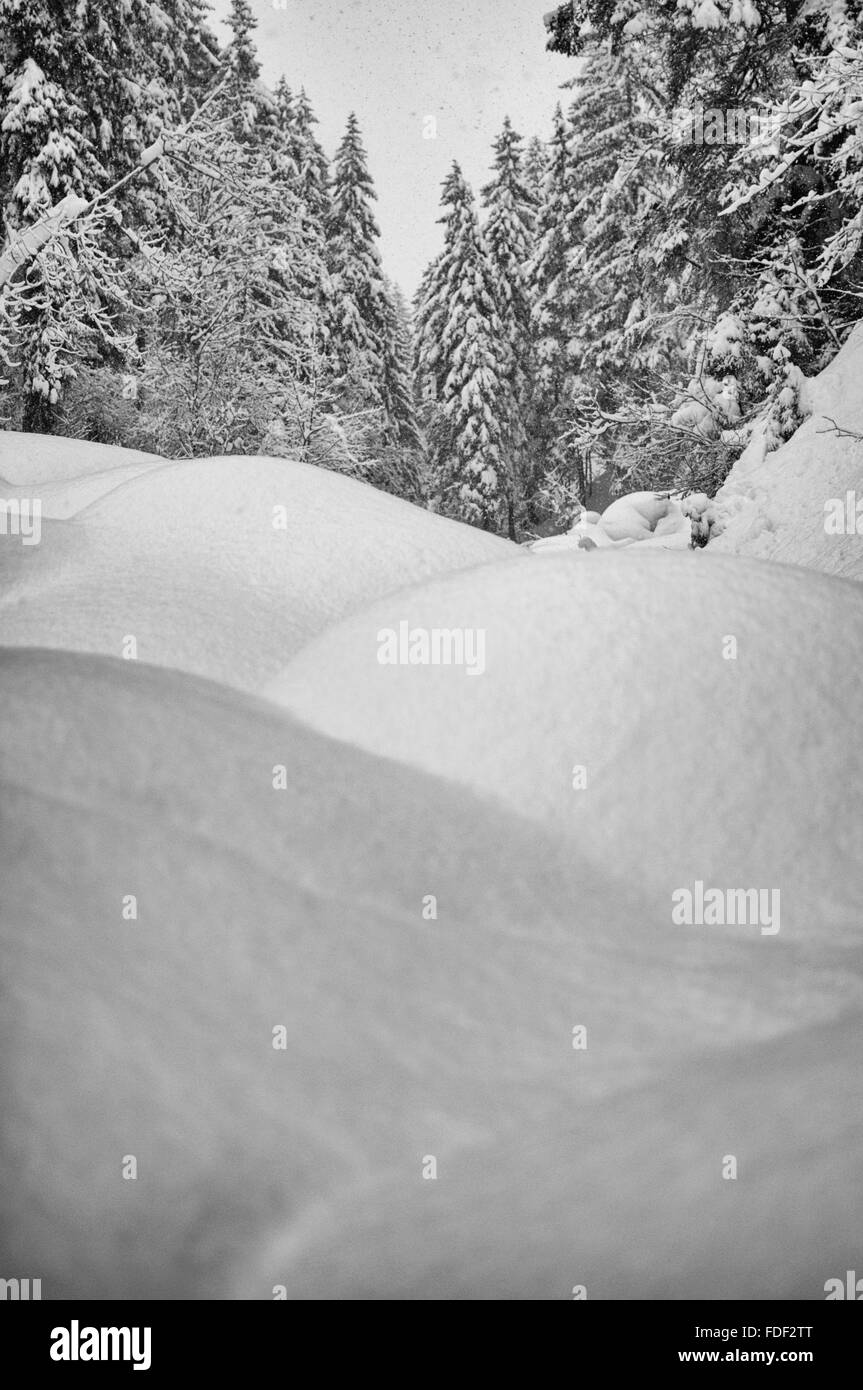 Onda di neve paesaggio invernale, fredda giornata invernale nelle alpi Foto Stock