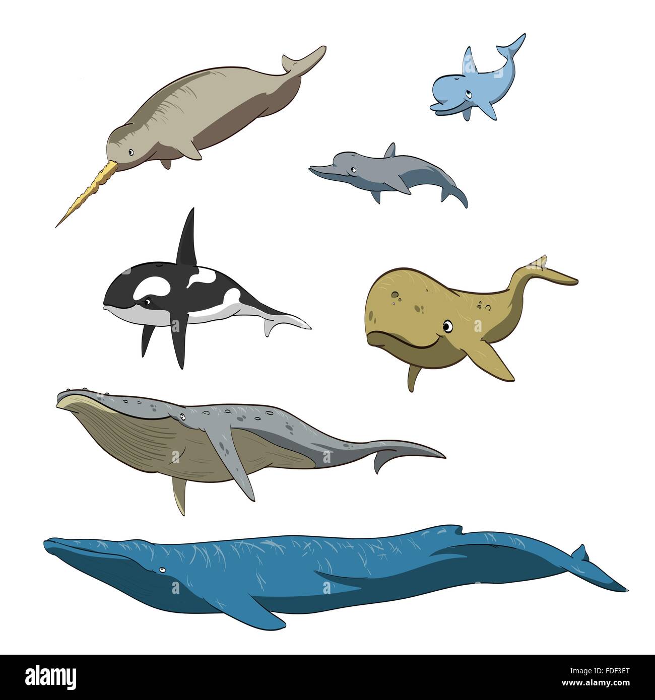 Set di illustrazione vettoriale di fumetto di balene e delfini. Illustrazione Vettoriale