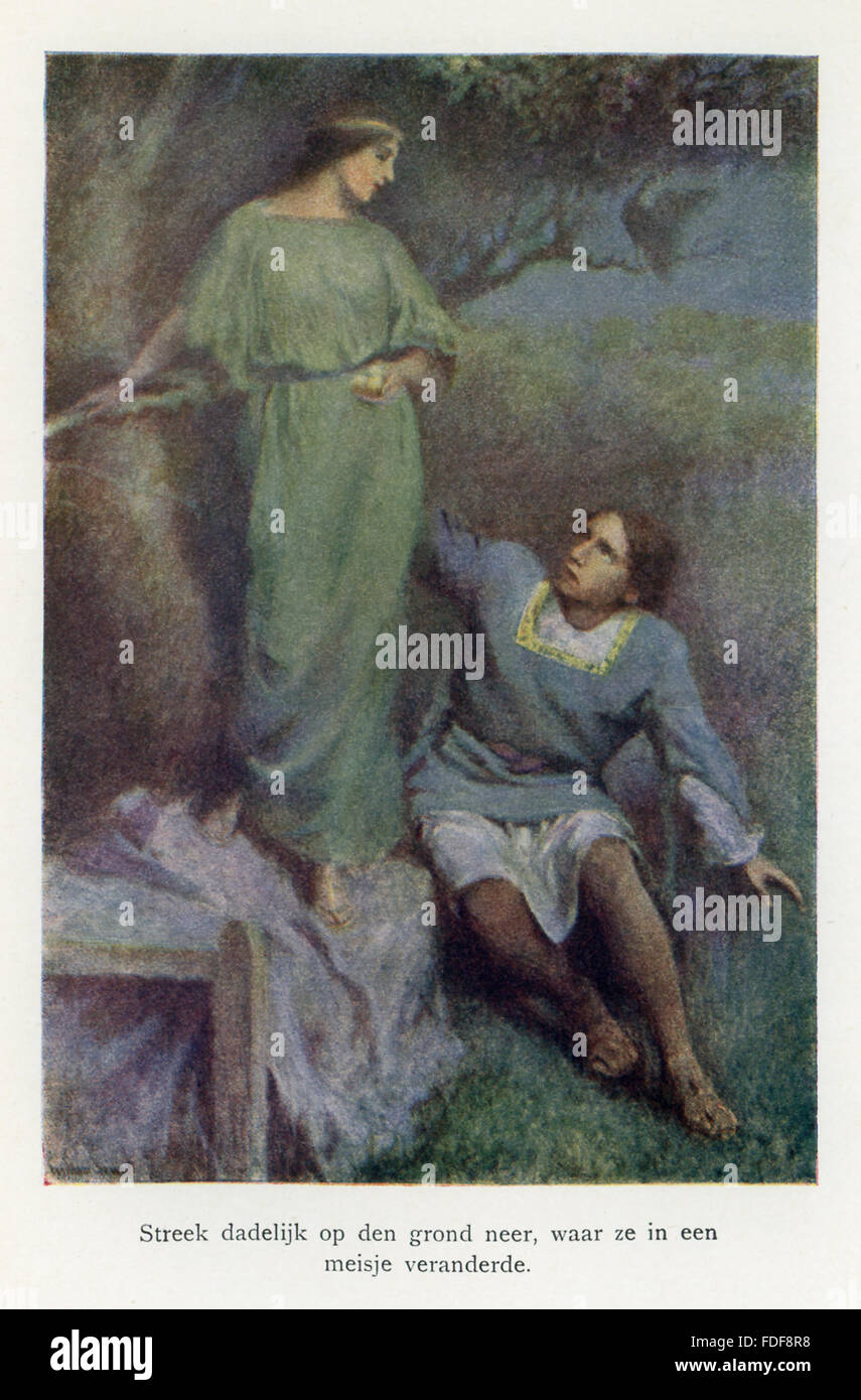 La didascalia per questa illustrazione si legge: Il pisello uando si trasforma in una fanciulla. Secondo la leggenda, un re aveva tre figli e un albero che ha prodotto la mela golden, ma un ladro ha rubato loro ogni notte. Due dei figli non è riuscito a catturare lui, un terzo è stato in grado di sconfiggere il ladro: nove peahens sarebbe venuto giù e otto pecked mele, ma nono si è trasformata in una bellissima principessa-come si vede qui. La principessa ha dato il terzo principe due mele d'oro per il re. L'illustrazione è da un 1921 prenota on il serbo miti e leggende. Foto Stock