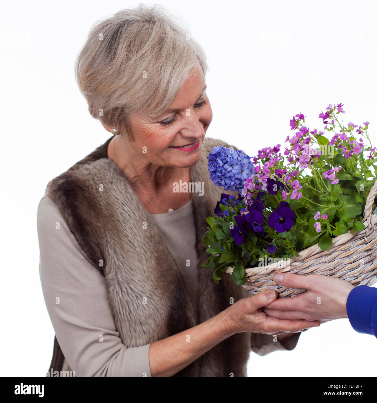 Felice vecchia donna senior sulle madri giornata tenendo fiori sorridenti grande sorriso Foto Stock Felice vecchia donna senior sulle madri giornata tenendo fiori sorridenti grande sorriso Foto Stock