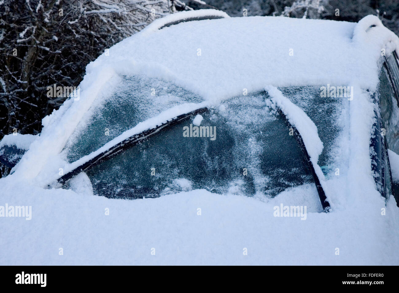 Tergivetri del parabrezza la rimozione di neve dal parabrezza auto, Bentley, Ipswich, Suffolk, Gennaio 2010 Foto Stock