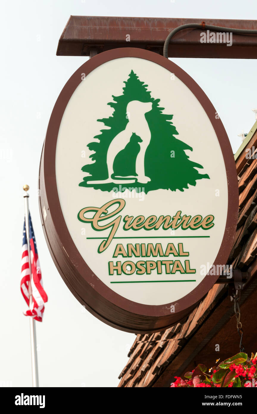 Segno di Greentree Animal Hospital in West Seattle. Foto Stock