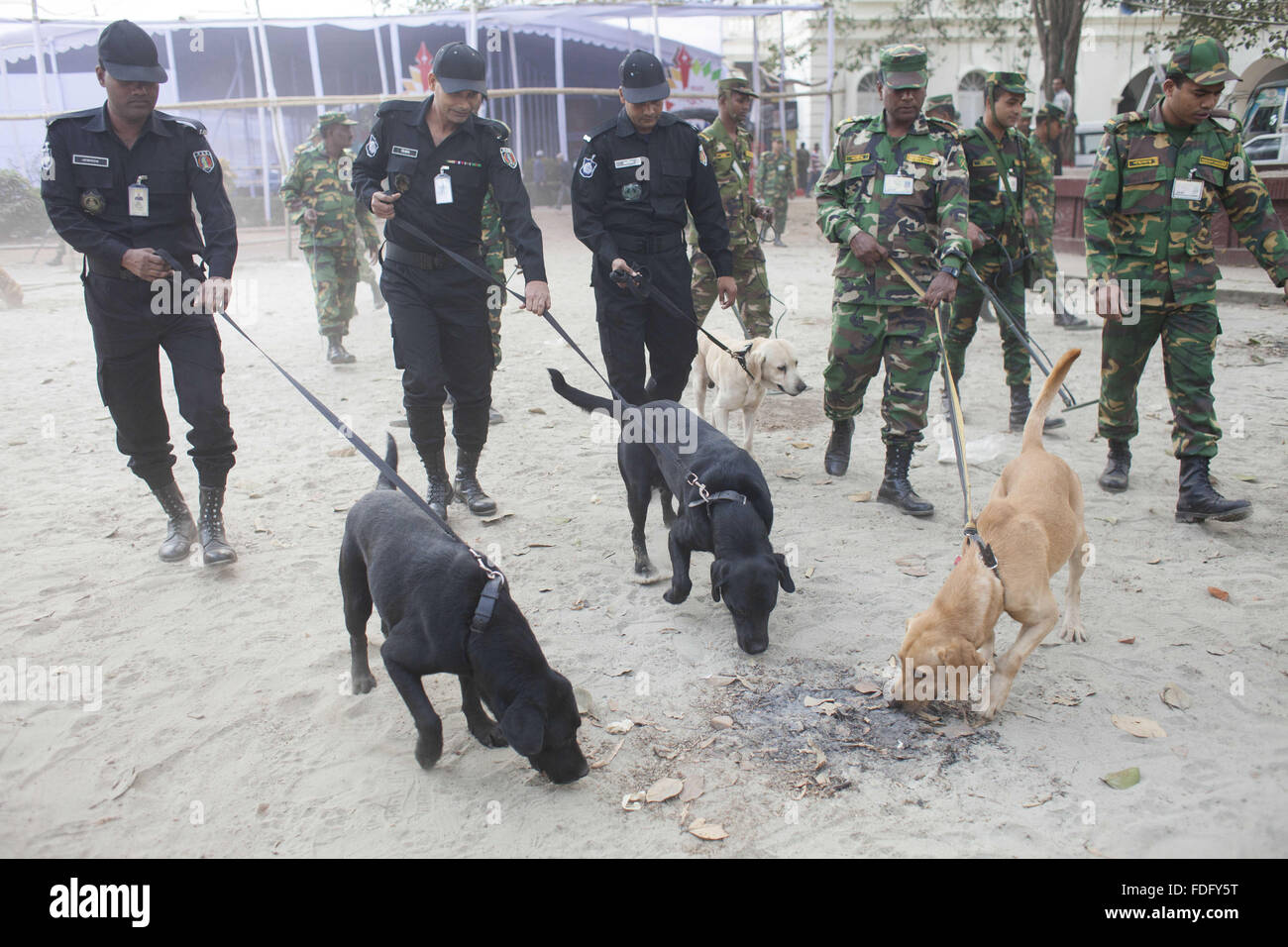 Dacca in Bangladesh. 31 gennaio, 2016. I funzionari di sicurezza compresi il personale dell'esercito e membri dell'elite force battaglione rapida azione (RAB) controllare il terreno di fronte a un libro in stallo con rivelatori di metalli e cani addestrati in Bangla Academy Book Fair locali a Dhaka, nel Bangladesh. © Suvra Kanti Das/ZUMA filo/Alamy Live News Foto Stock