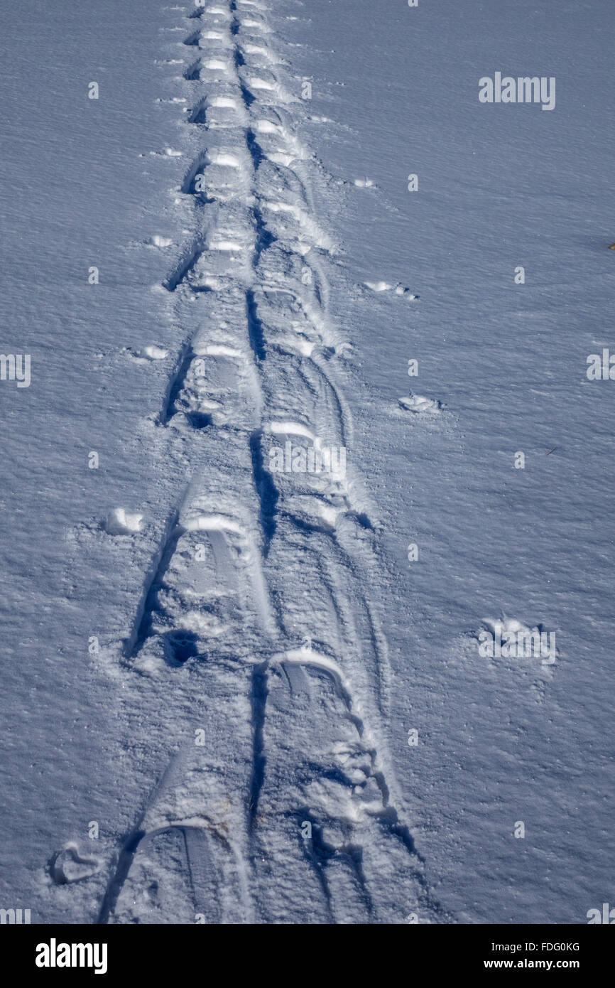 Escursioni con le racchette da neve tracce nella neve vergine con polo marchi, Foto Stock