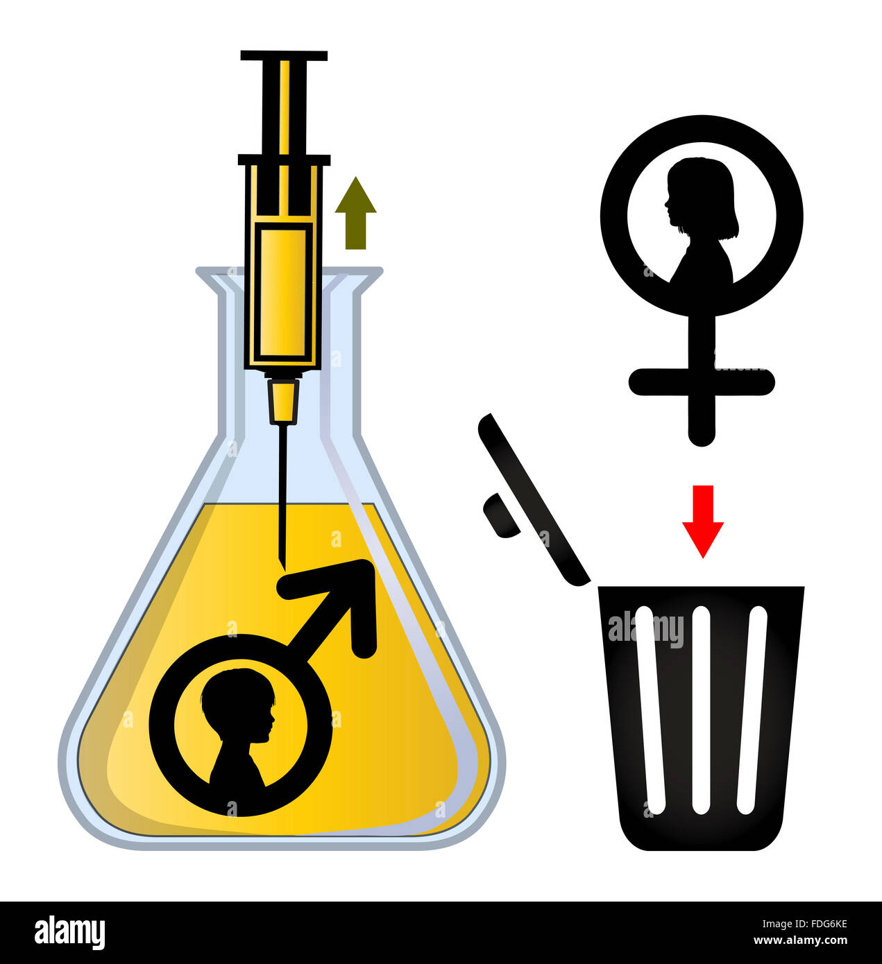 In Vitro la selezione di genere Foto Stock