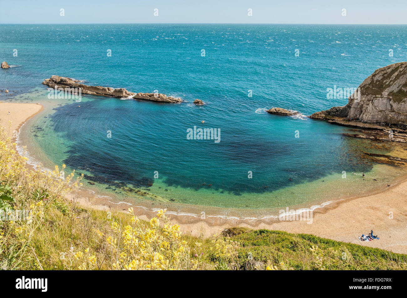 San Oswalds Bay e UOMO O'guerra Cove presso la porta di Durdle Cliff formazione nelle vicinanze Lulworth, Dorset, Sud Inghilterra, Regno Unito Foto Stock