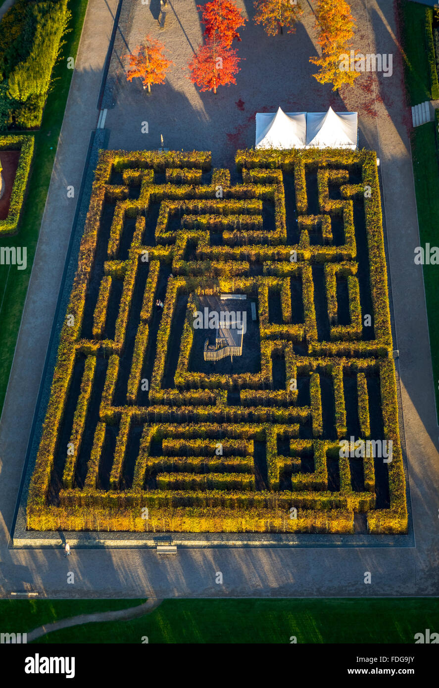 Vista aerea, labirinto di siepi, labirinto, dedalo, Sauerland Hemer
