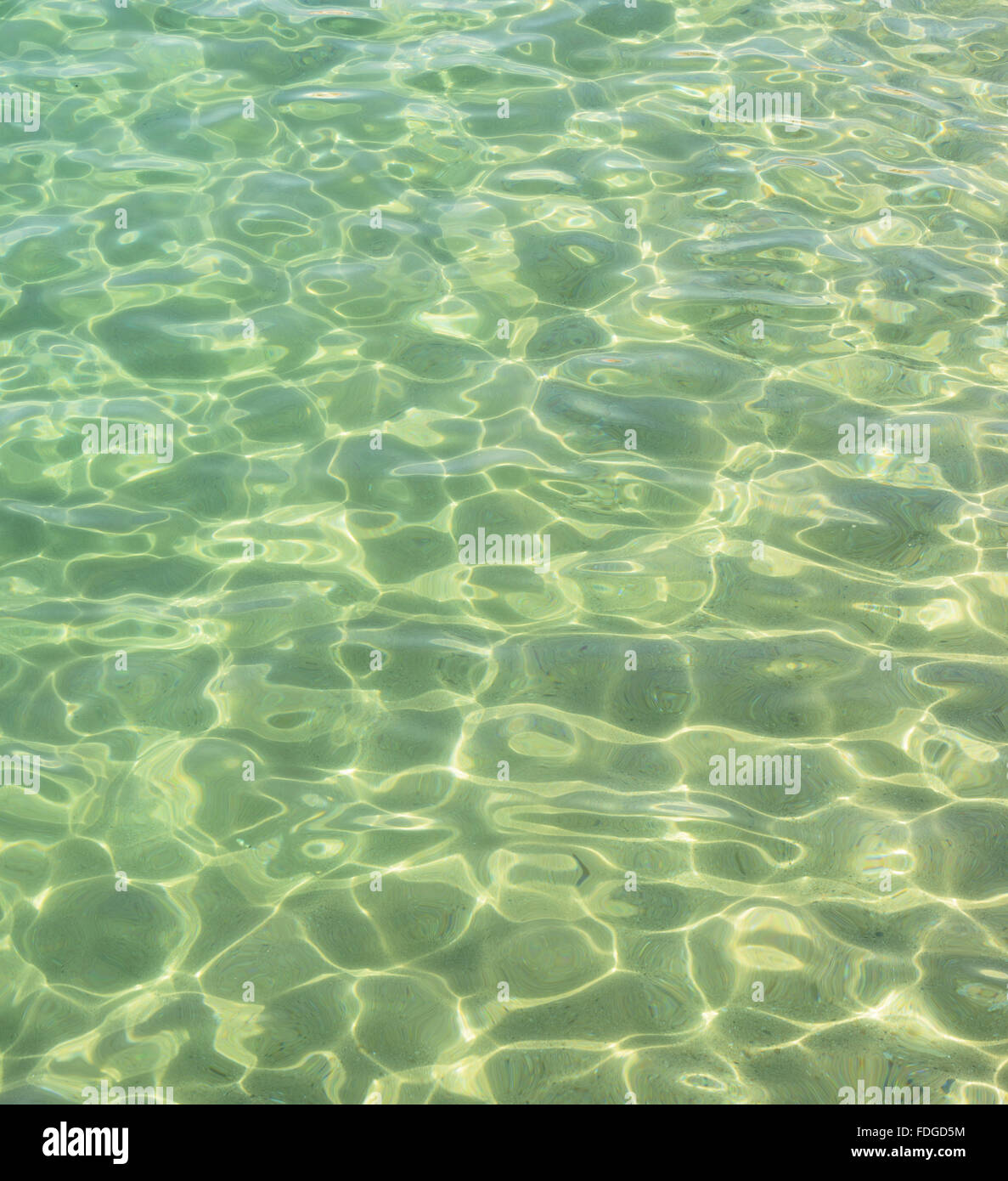 Modello di la luce del sole flecks è chiaramente in acqua di mare sotto il sasso sul fondale in Spagna. Foto Stock