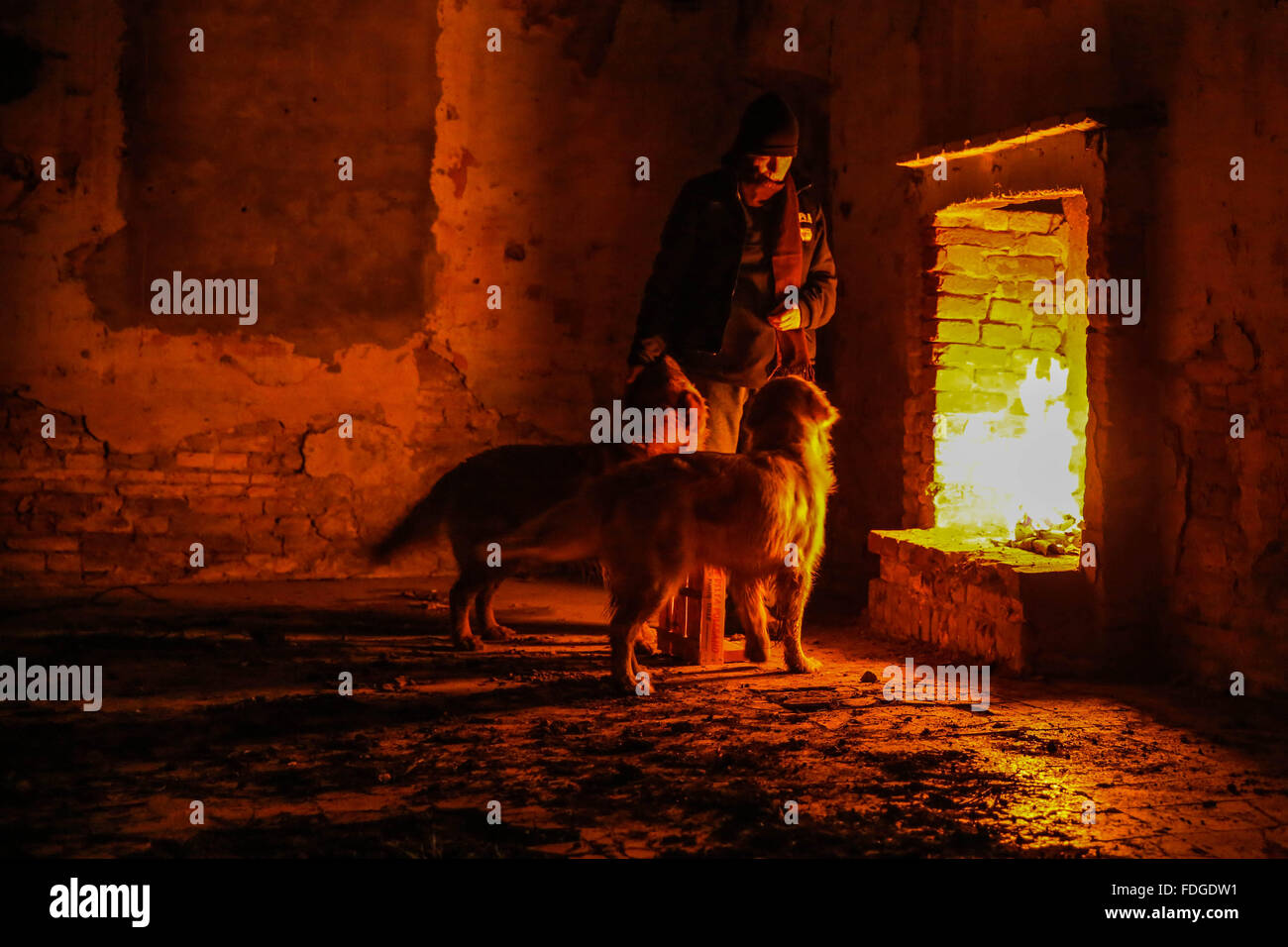 Senzatetto con cani Foto Stock