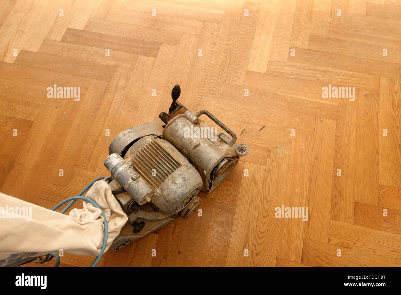 Una macchina di molatura di pavimenti in parquet su un parquet in legno di quercia. Foto Stock