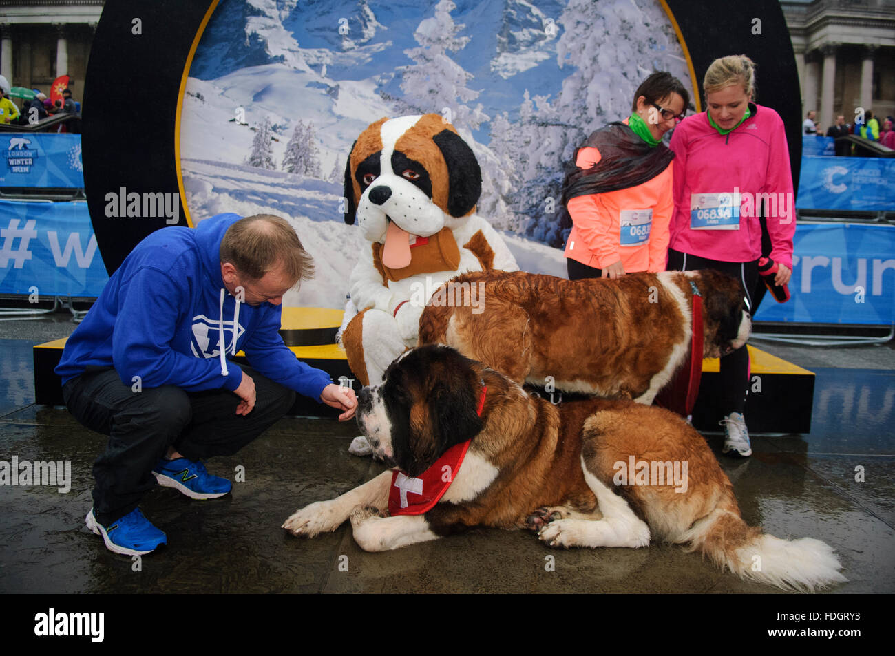 Londra, Regno Unito. Il 31 gennaio 2016. Migliaia di corridori brave la pioggia per il 2016 10k Londra inverno eseguire serie per la ricerca sul cancro, attraverso le strade di Londra, cominciando a Trafalgar Square e la finitura su Whitehall, vicino a Downing Street. © Paul Warburton/Alamy Live News Foto Stock