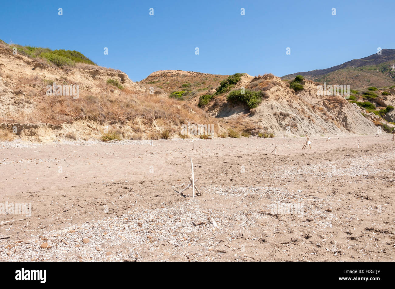 Costruzioni speciali protegge le tartarughe marine le uova sulla spiaggia sabbiosa. Zante, Grecia Foto Stock