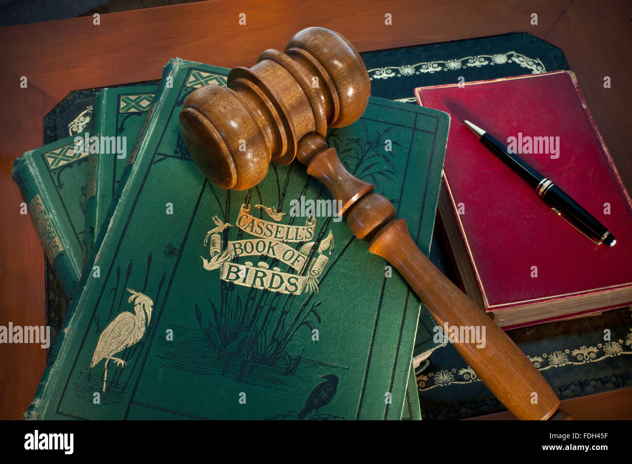 Libro asta fine gavel martello asta su rara collezione antiquaria Del 1860 'Cassells Book of Birds' in sale-room situazione Foto Stock