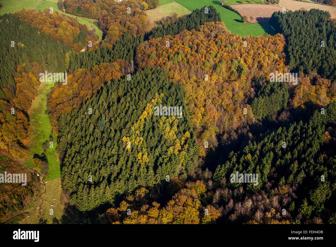 Vista aerea, Golden Ottobre a Ennepetal serbatoio, dam, Ennepetal Ennepetal, la zona della Ruhr, Renania settentrionale-Vestfalia, Germania, Europa Foto Stock