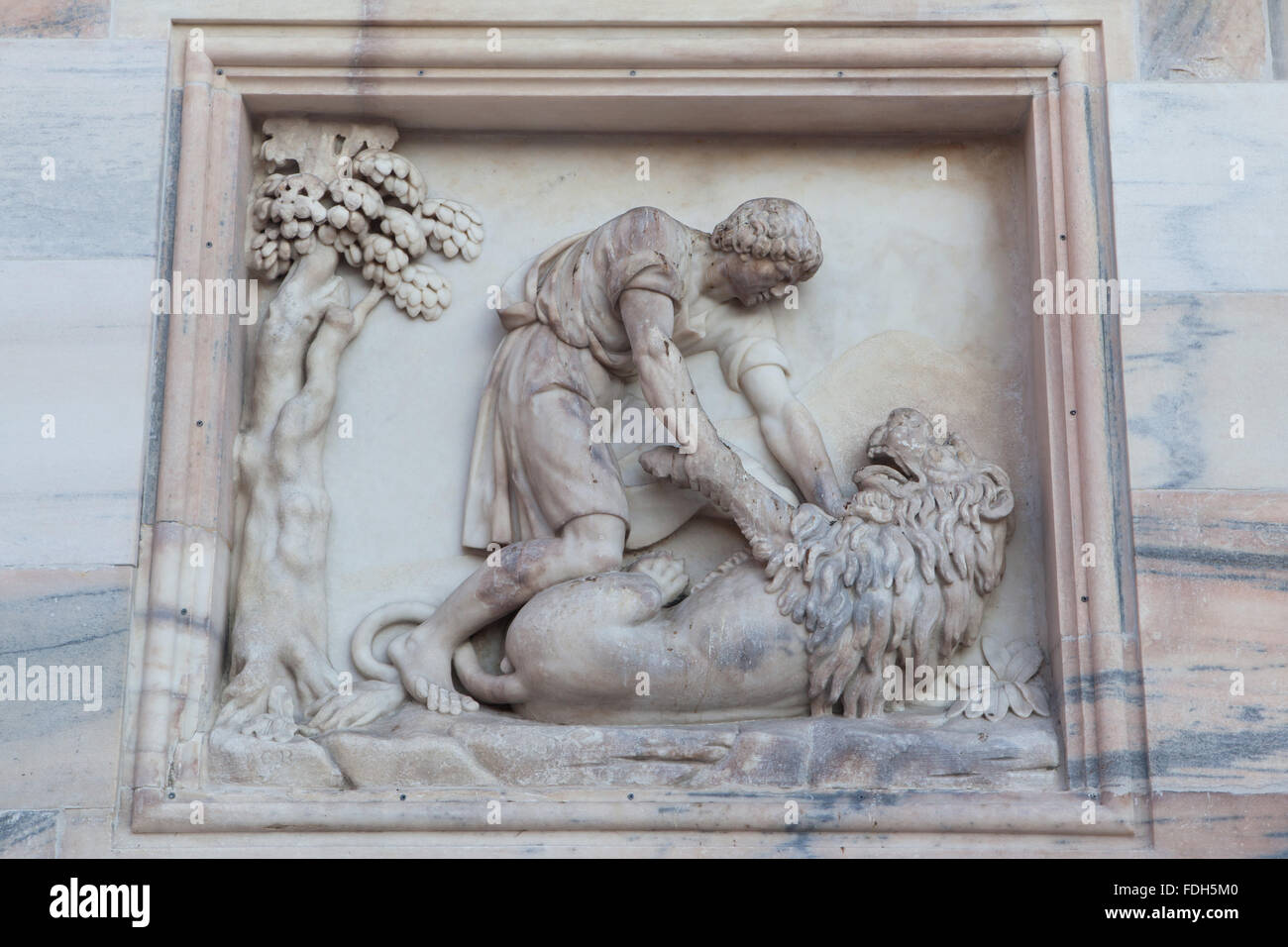 Sansone Fighting the Lion. Rilievo marmoreo da scultore italiano Francesco Carabelli sulla facciata principale del Duomo di Milano (Duomo Foto Stock