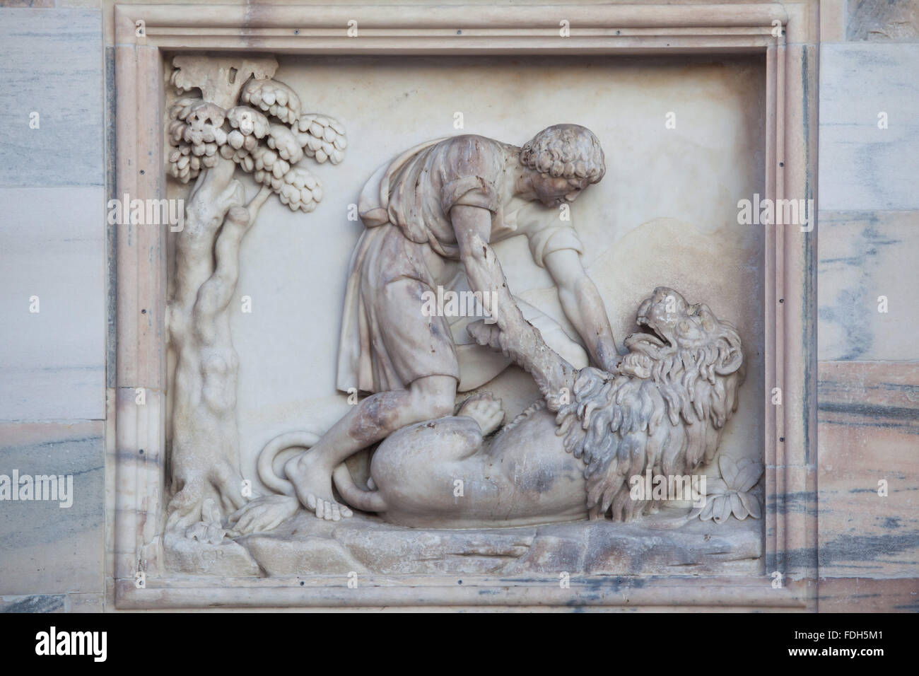 Sansone Fighting the Lion. Rilievo marmoreo da scultore italiano Francesco Carabelli sulla facciata principale del Duomo di Milano (Duomo Foto Stock