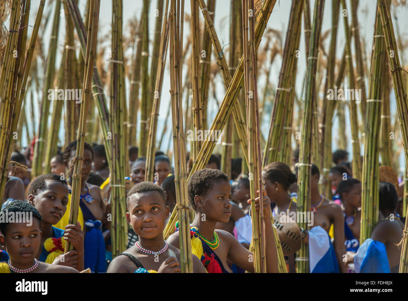 Ludzidzini, Swaziland, Africa - Il Swazi Umhlanga, o reed cerimonia di danza, 100.000 donne non sposate , o di fanciulle, celebrare thei Foto Stock