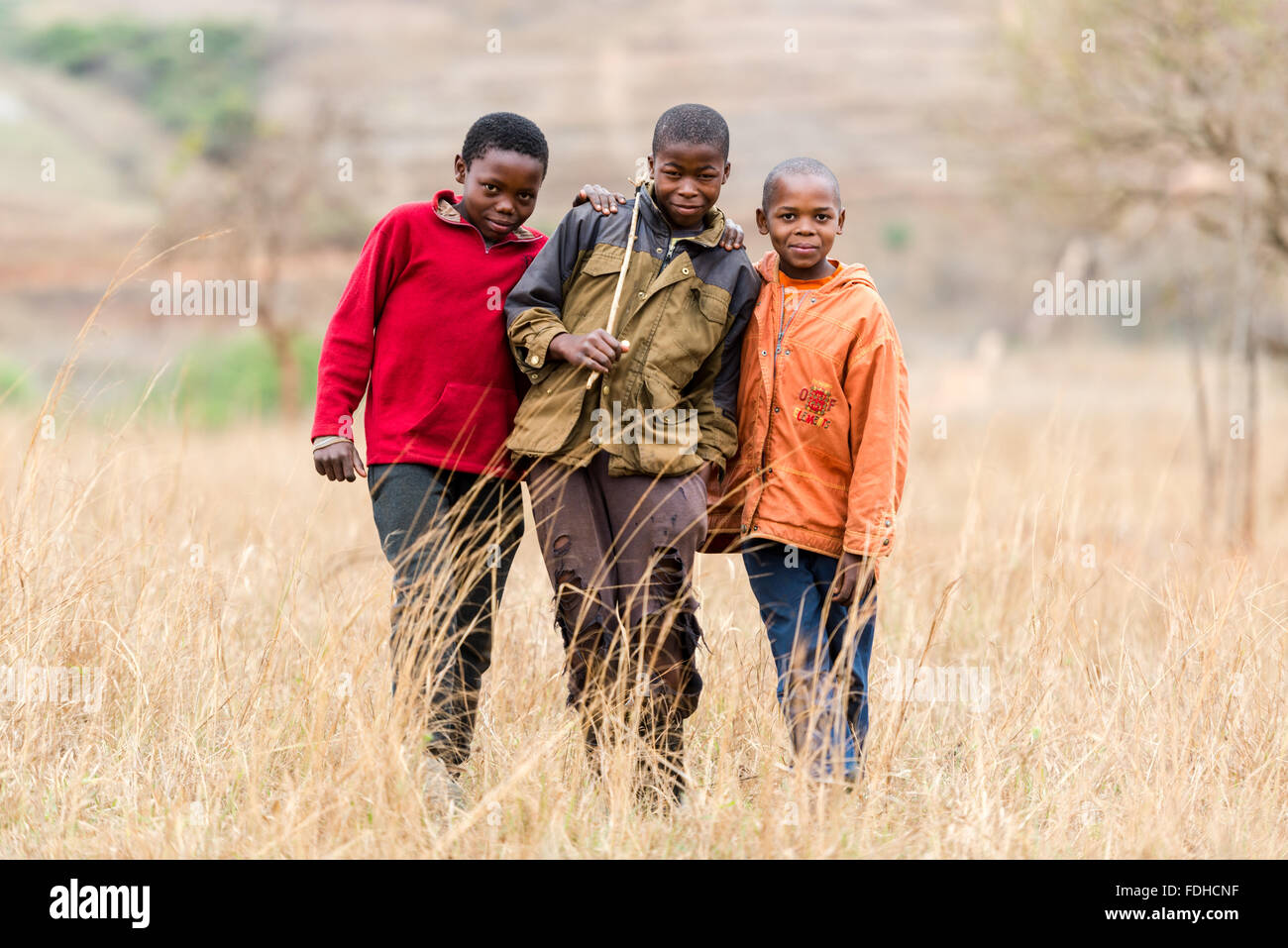Tre giovani ragazzi in piedi in un campo nella regione di Hhohho dello Swaziland, Africa. Foto Stock