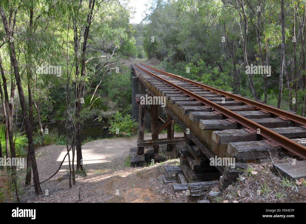 La Cascata Ponte del Pemberton tramvia in esecuzione attraverso Gloucester National Park, Australia Foto Stock