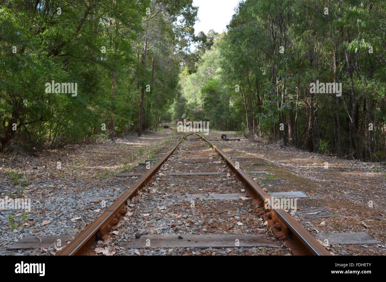 La linea ferroviaria del Pemberton tramvia in esecuzione attraverso il Parco Nazionale di Gloucester verso la stazione di Cascades, Australia Foto Stock