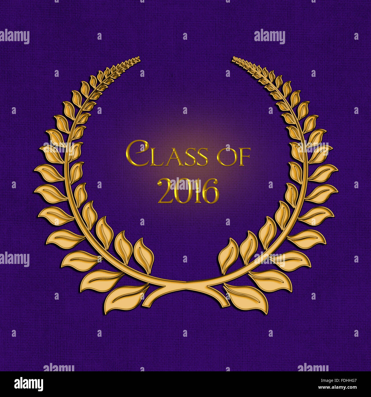 Graduazione alloro oro per il 2016 sulla texture di sfondo viola. Foto Stock