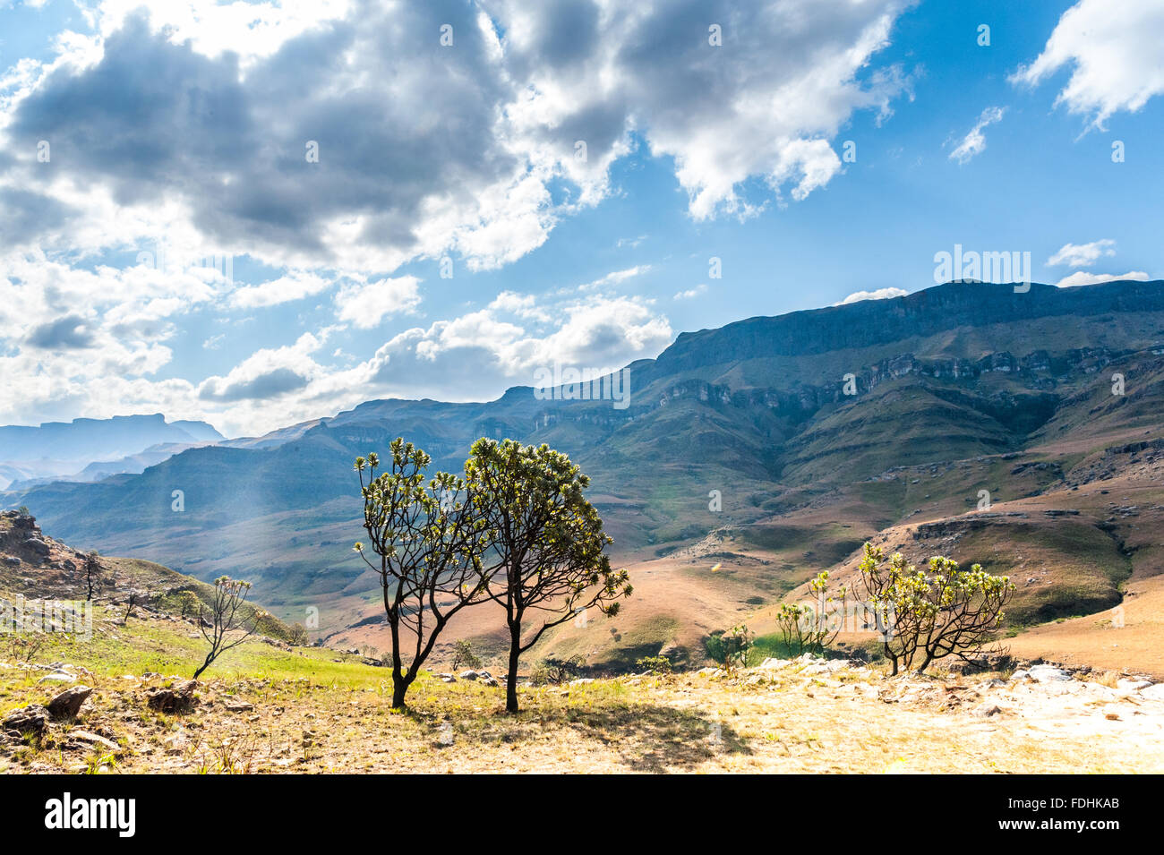 Paesaggio di montagne e il cielo azzurro in Sani Pass, tra il Sud Africa e Lesotho Foto Stock