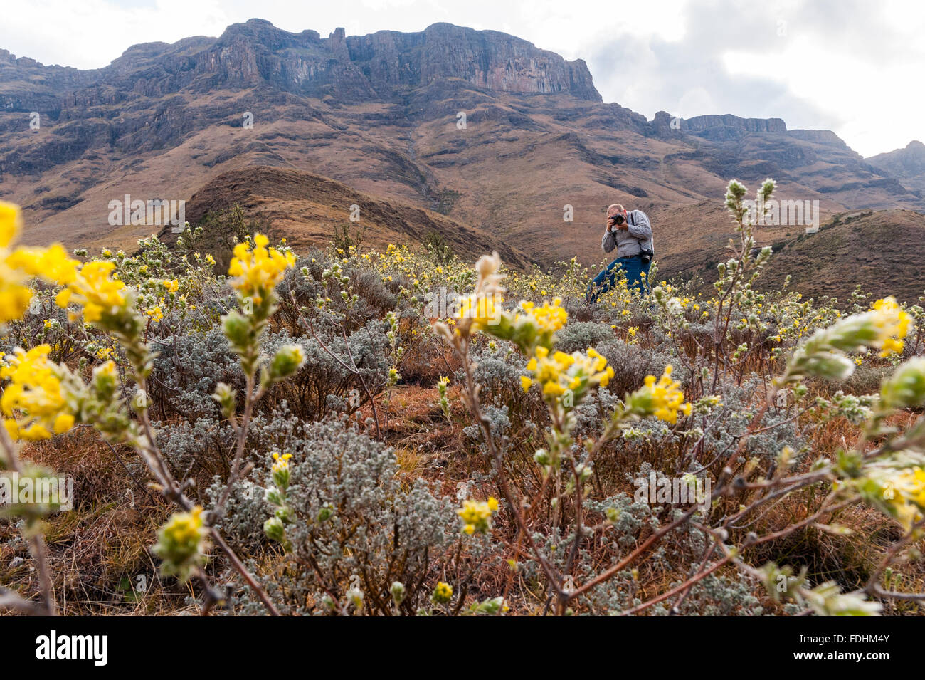 Uomo a fotografare il paesaggio in Sani Pass, tra il Sudafrica e il Lesotho. Foto Stock