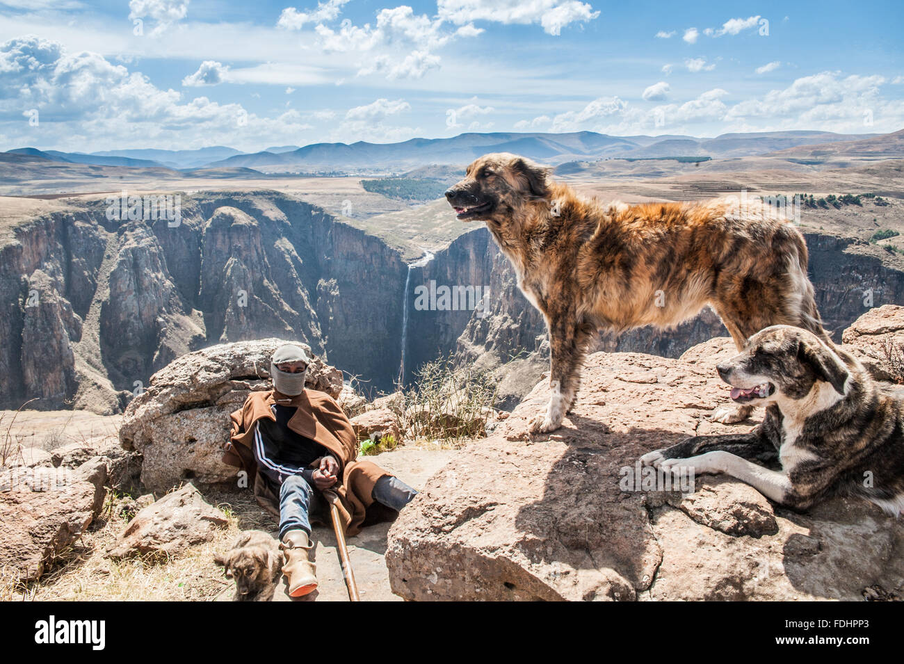 Un pastore che indossa una sciarpa intorno al suo volto seduto con i suoi cani in tutta da Maletsunyane cade in Somenkong, Lesotho, Africa Foto Stock