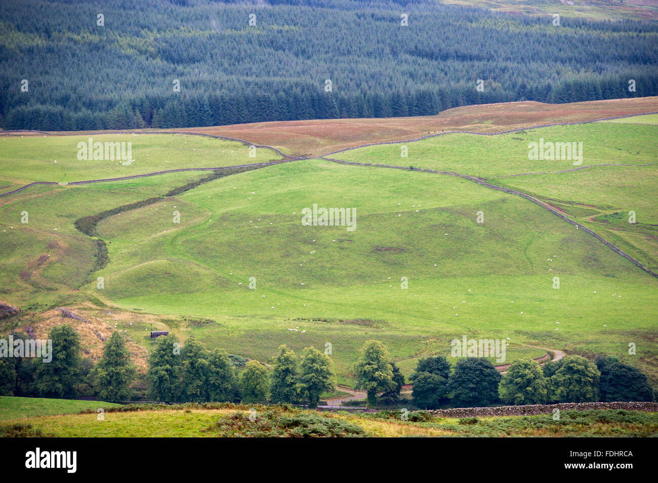 Paesaggio in Moffat , Scozia all'International Sheep Dog prove Foto Stock