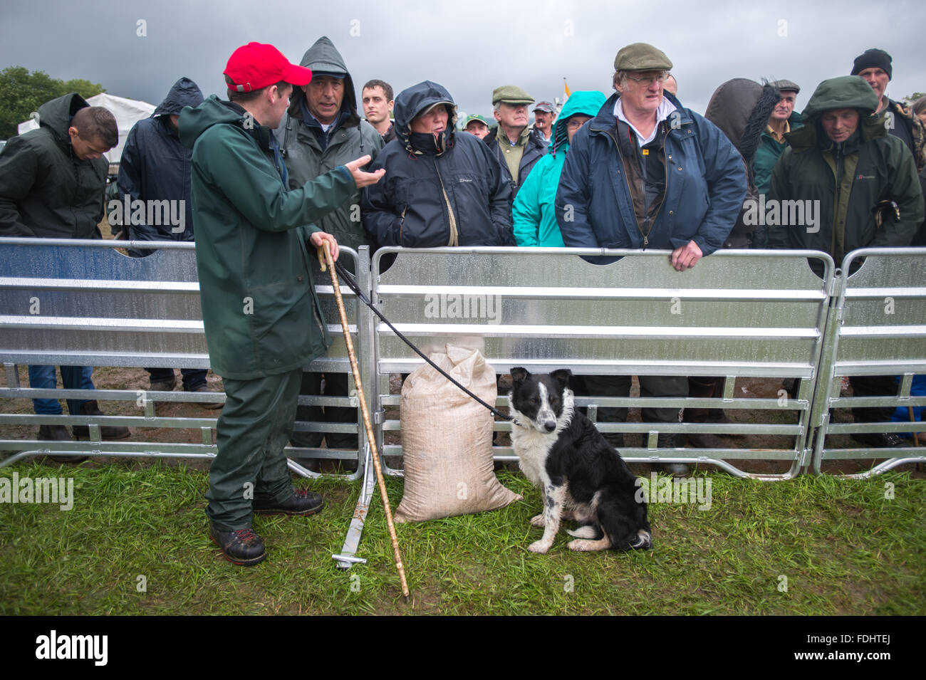 Border Collie e gli spettatori a guardare il International Sheep Dog prove a Moffat, Scotland, Regno Unito. Foto Stock